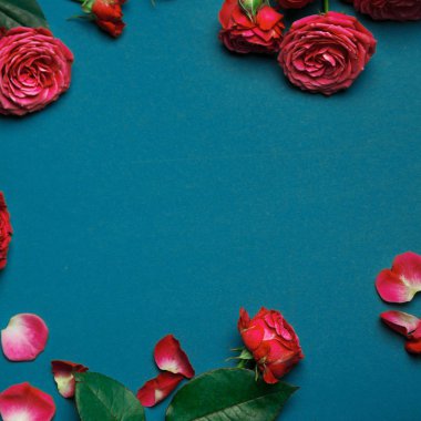 Gül, pion şeklindeki gül pion şeklinde bir renkli arka plan, pembe gül buketi pion şeklinde. St. Valentine's gün ve 8 Mart için hediye. Gül