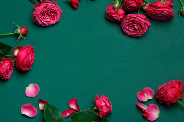 Pionenförmige Rosen, ein Strauß pionenförmiger Rosen auf farbigem Hintergrund, rosa pionenförmige Rosen. Geschenk zum Valentinstag und zum 8. März Rosen — Stockfoto