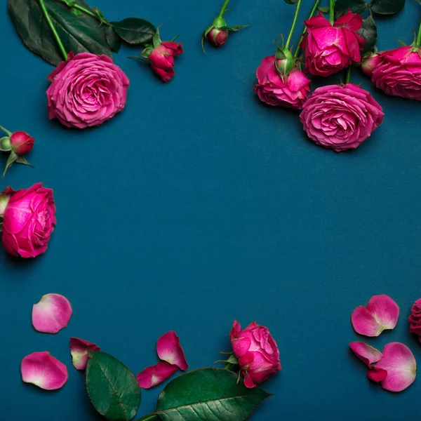Pionenförmige Rosen, ein Strauß pionenförmiger Rosen auf einem farbigen b — Stockfoto