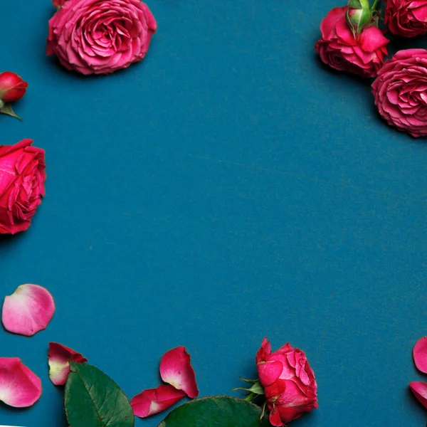 Gül, pion şeklindeki gül pion şeklinde bir renkli arka plan, pembe gül buketi pion şeklinde. St. Valentine's gün ve 8 Mart için hediye. Gül