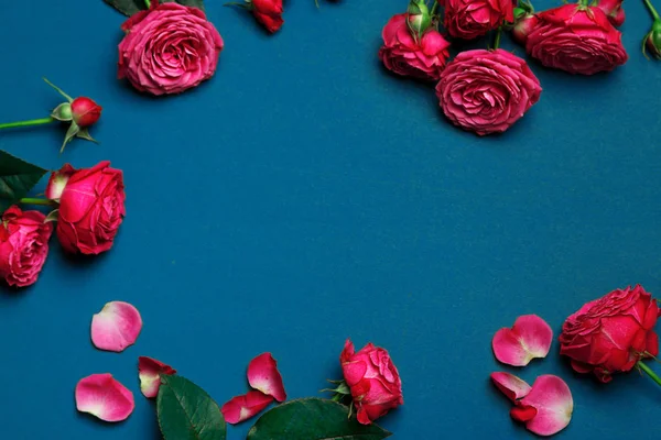 Gül, pion şeklindeki gül pion şeklinde bir renkli arka plan, pembe gül buketi pion şeklinde. St. Valentine's gün ve 8 Mart için hediye. Gül