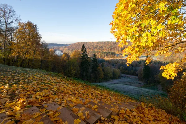 Sonbahar sarı açık Sigulda