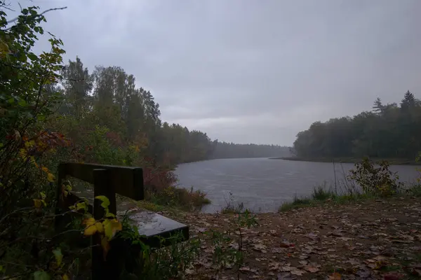 Sonbahar riga açık peyzaj