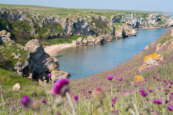 Yaz açık Karadeniz