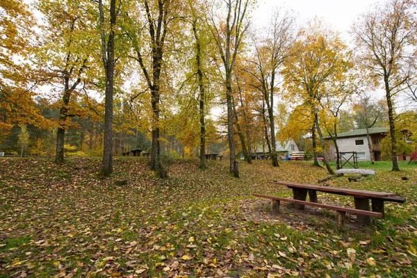 Sonbahar riga açık peyzaj