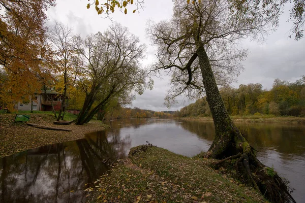 Autunno Riga Paesaggio Esterno — Foto Stock