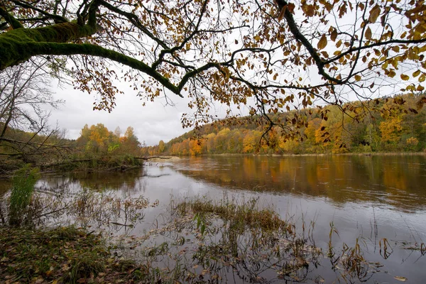 Sonbahar riga açık peyzaj