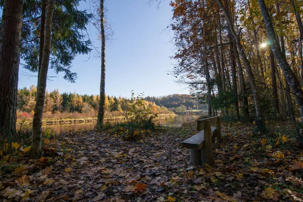 Sonbahar riga açık peyzaj