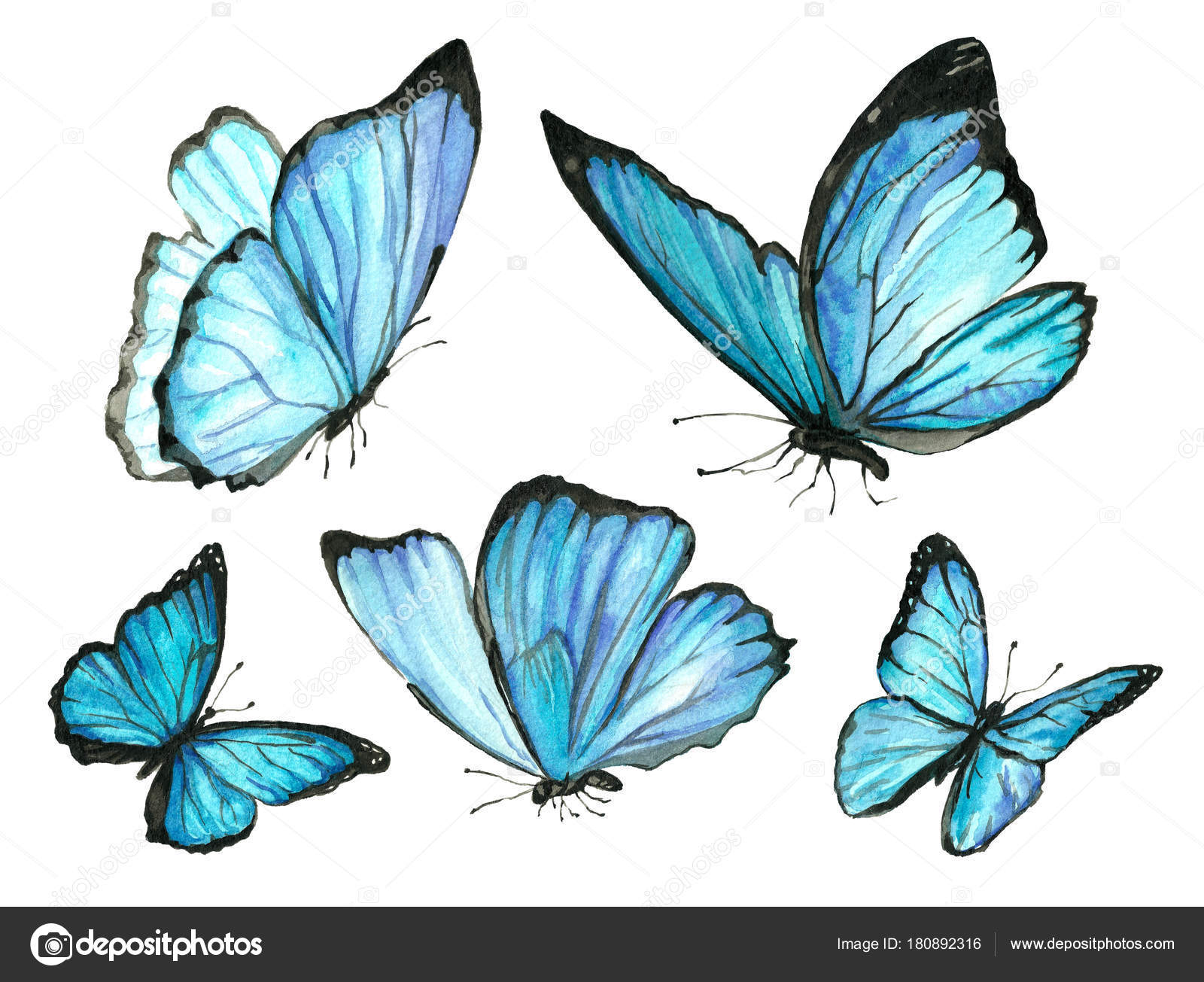 Collection watercolor of flying butterflies. Stock Illustration by ©Artgan  #180892316