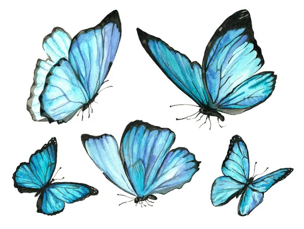 Sbírku akvarel létající motýli. — Stock fotografie