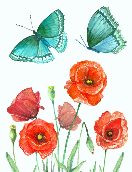Sulu Boya çiçekler ve kelebekler — Stok fotoğraf