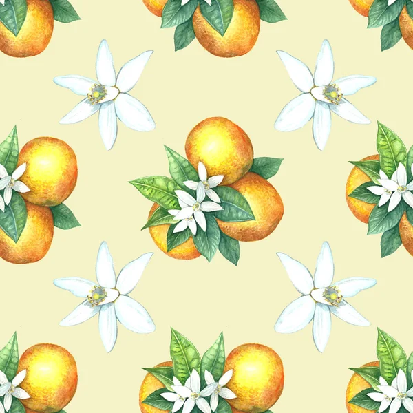 오렌지의 수채화 패턴. — 스톡 사진