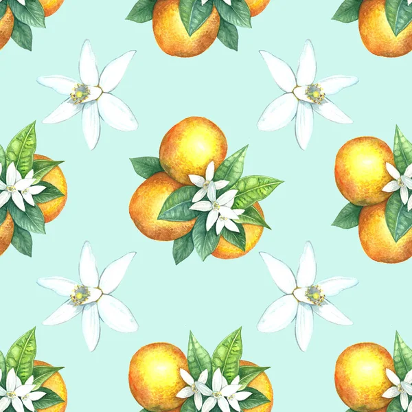 Watercolor pattern of oranges.