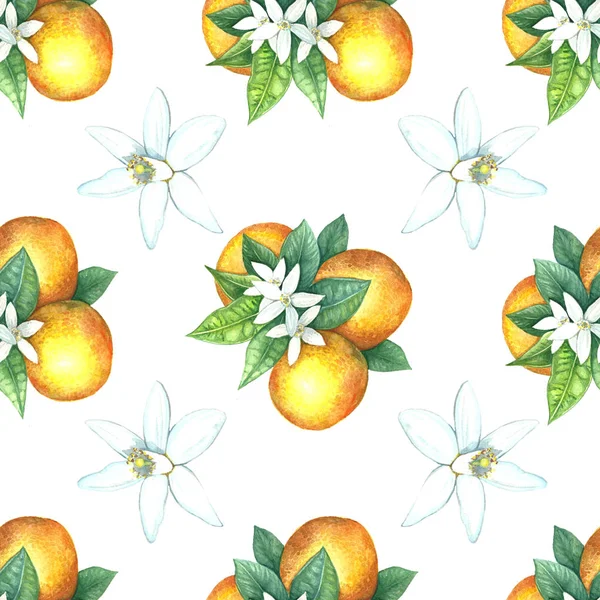 오렌지의 수채화 패턴. — 스톡 사진
