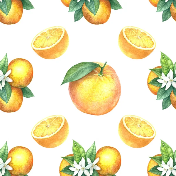 Акварельний візерунок апельсинів . — стокове фото