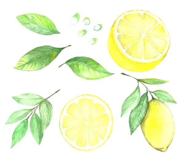 Collezione Lemon — Foto Stock