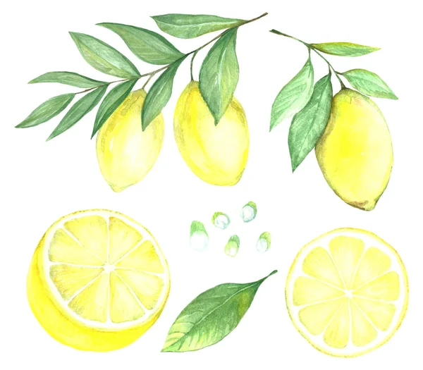 Colección de limón — Foto de Stock