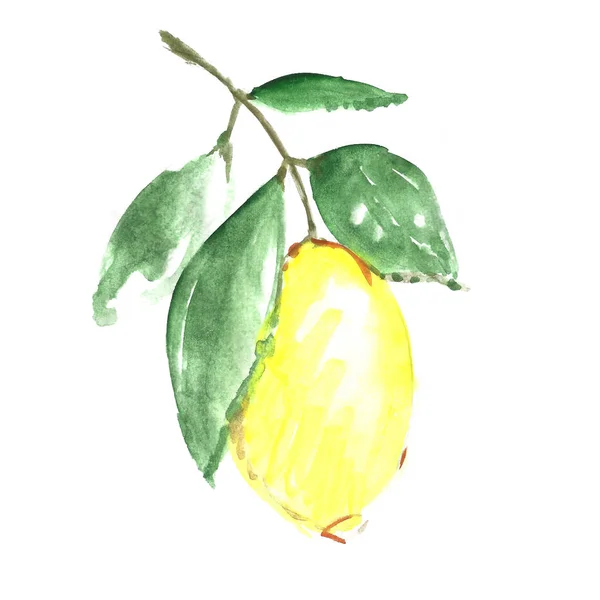 Collezione Lemon — Foto Stock