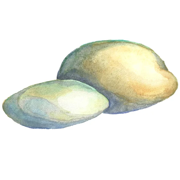 Акварельное изображение морского камня. Пляжный камень . — стоковое фото