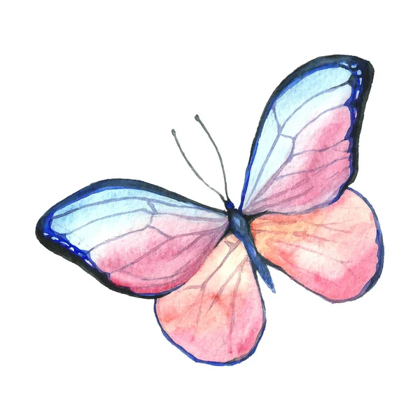 Image aquarelle d'un papillon sur fond blanc . — Photo