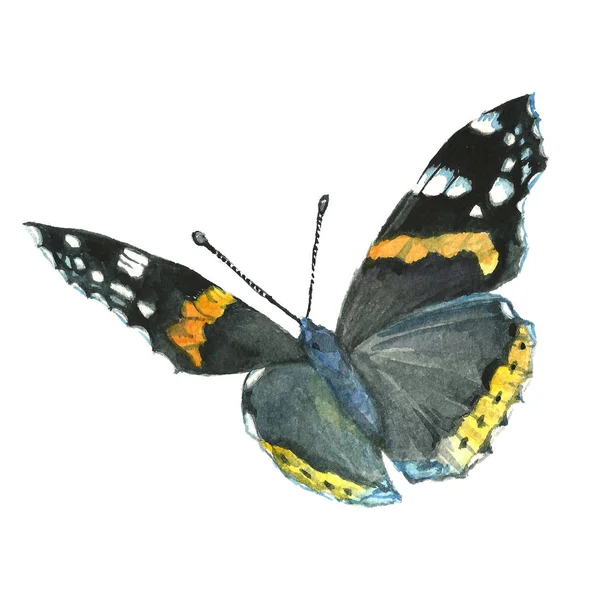 Bir kelebeğin beyaz zemin üzerine suluboya resim. — Stok fotoğraf