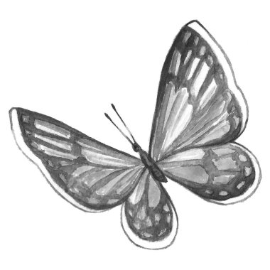 Bir kelebek beyaz bir arka plan üzerinde siyah beyaz görüntü.