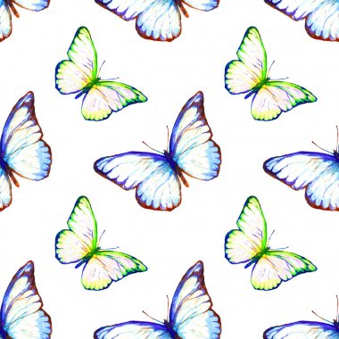 Sulu Boya Dikişsiz desen boyalı kelebek