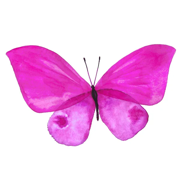 Image aquarelle d'un papillon sur fond blanc . — Photo