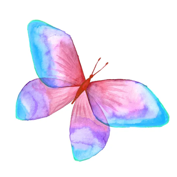 Watercolor image of a butterfly on a white background. — Stock Photo, Image