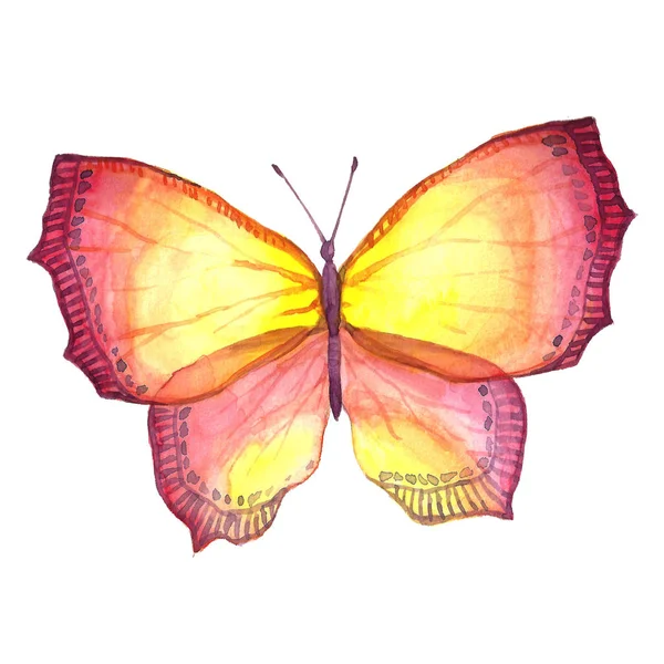 Image aquarelle d'un papillon sur fond blanc . — Photo