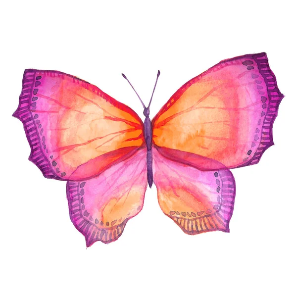 Imagen en acuarela de una mariposa sobre un fondo blanco . —  Fotos de Stock
