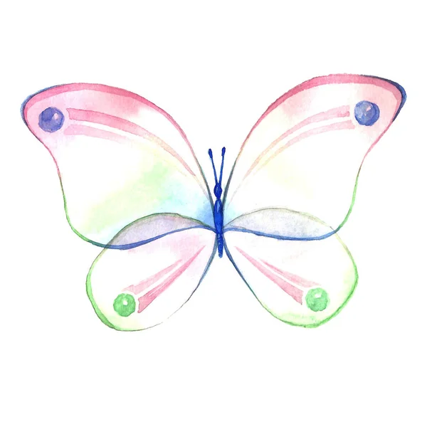 白色背景的蝴蝶的水彩图像. — 图库照片