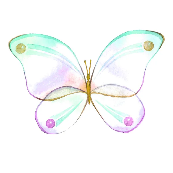 Watercolor image of a butterfly on a white background. — Stock Photo, Image