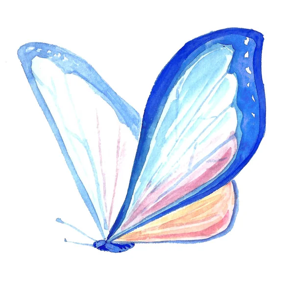 Aquarell-Bild eines Schmetterlings auf weißem Hintergrund. — Stockfoto