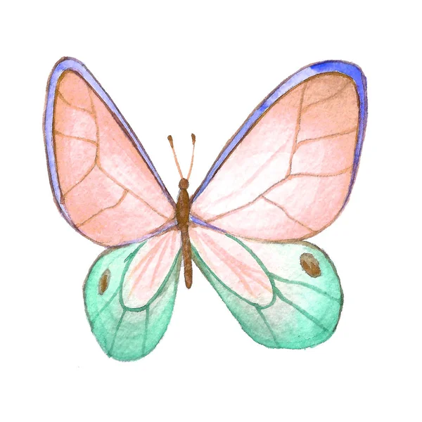 Watercolor image of a butterfly on a white background. — Stock Photo, Image