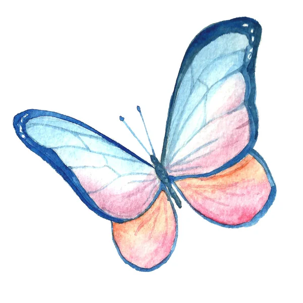 Image aquarelle d'un papillon sur fond blanc . — Photo