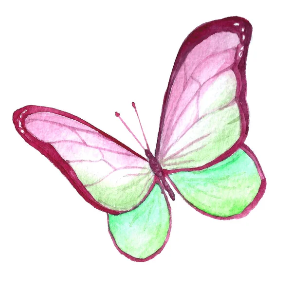 Akvarelu obrázek motýla na bílém pozadí. — Stock fotografie