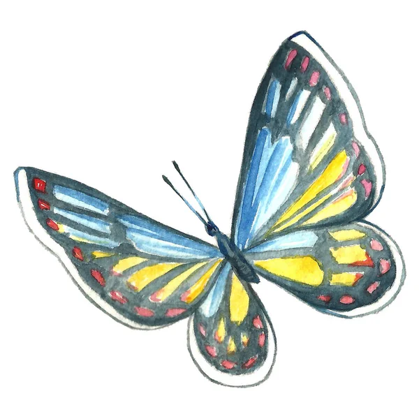 Aquarell-Bild eines Schmetterlings auf weißem Hintergrund. — Stockfoto