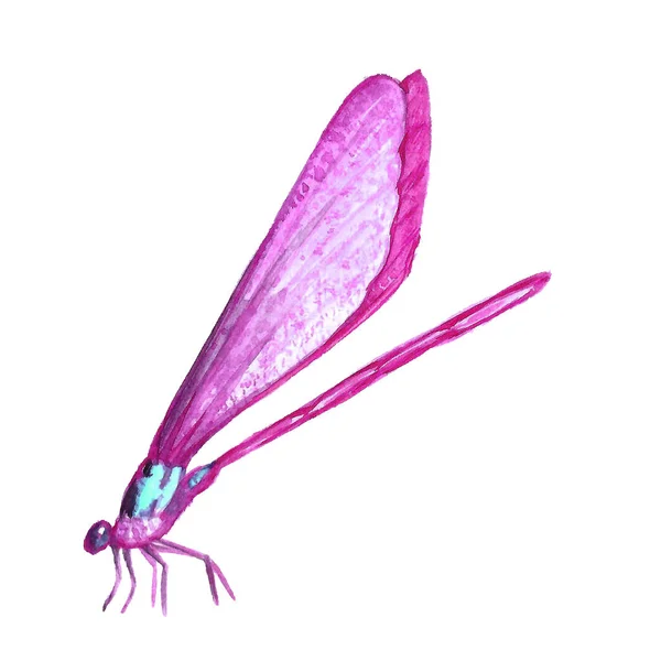 Акварель - изображение сидящей стрекозы . — стоковое фото