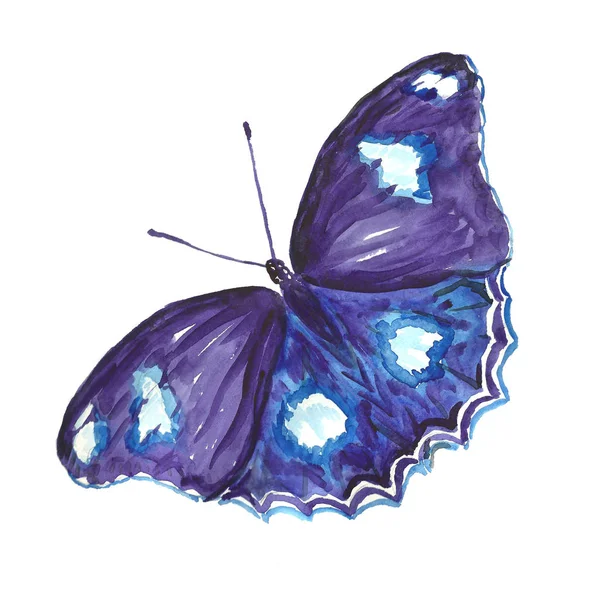 Image aquarelle d'un papillon sur fond blanc . — Photo