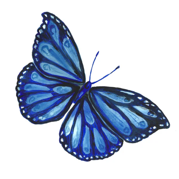 Υδατογραφία εικόνας μιας πεταλούδας σε λευκό φόντο. — Φωτογραφία Αρχείου