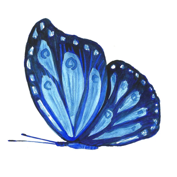 Image aquarelle d'un papillon sur fond blanc . — Photo