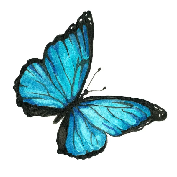 Image aquarelle d'un papillon sur fond blanc . — Photo