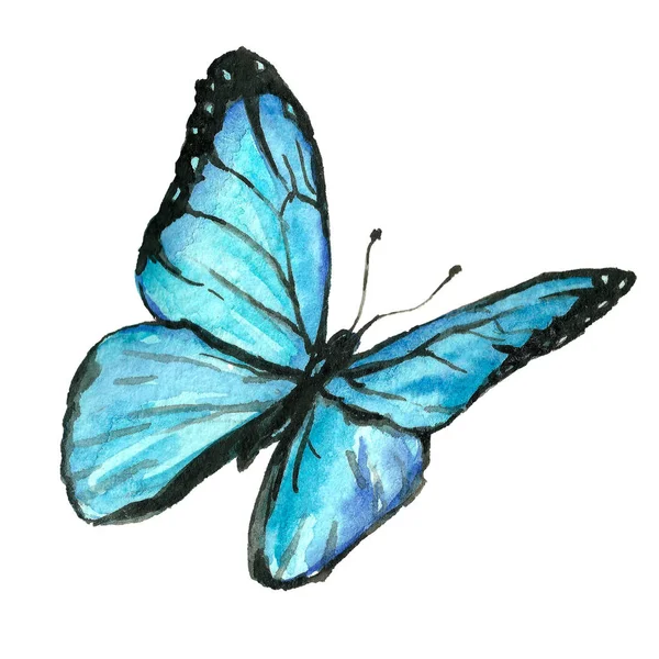 Aquarel afbeelding van een vlinder op een witte achtergrond. — Stockfoto
