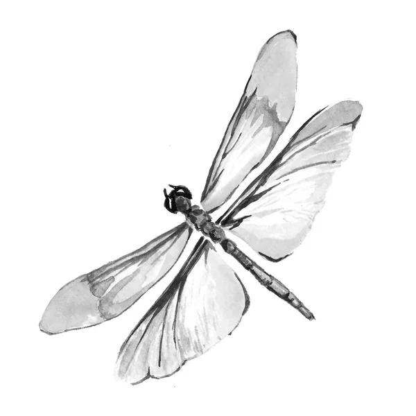 Imagen en blanco y negro de una mariposa sobre un fondo blanco . — Foto de Stock