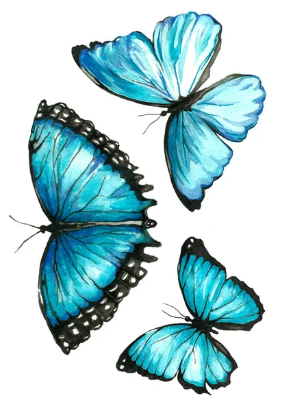 Collection aquarelle de papillons volants . — Photo