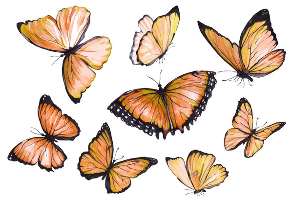 Colección acuarela de mariposas voladoras . —  Fotos de Stock