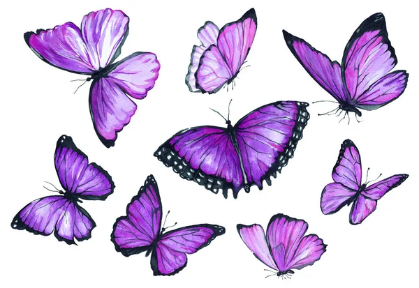 나비 비행의 컬렉션 수채화. — 스톡 사진