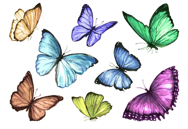 飞行的蝴蝶集合幅水彩画. — 图库照片