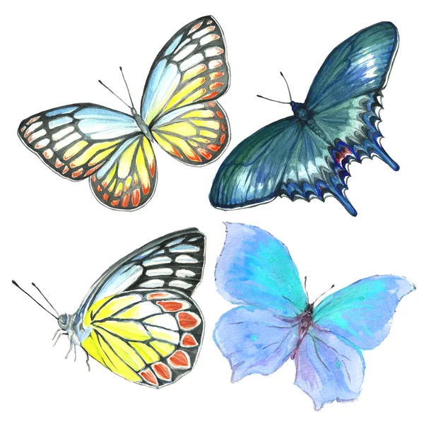 蝶の飛翔のコレクション水彩. — ストック写真